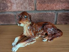 Red irish setter for sale  COVENTRY