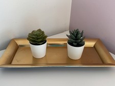 Deko sukkulente deko gebraucht kaufen Deko sukkulente deko gebraucht kaufen  Elchingen