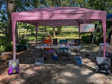 Pink pop canopy for sale  New York
