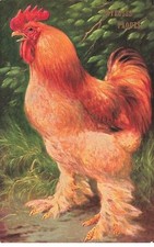 Joyeuses pâques poule d'occasion Joyeuses pâques poule d'occasion  France
