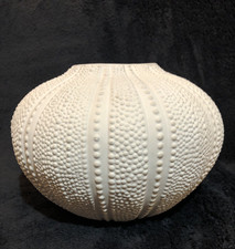 Ceramic sea urchin for sale  Springfield
