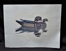 Richard sloan duck for sale  Helena
