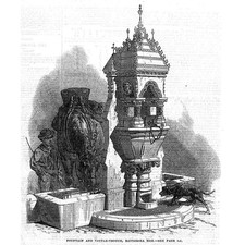 London fountain cattle for sale  GLASGOW
