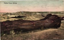 Vintage postcard fallen for sale  USA
