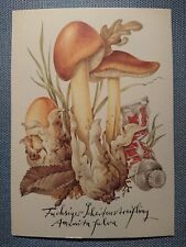 Cartão postal antigo Fuchsiger Scheidenstreifling Planet editora Berlim comprar usado  Enviando para Brazil