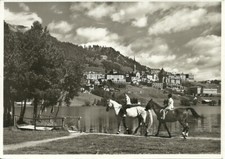 St. moritz ausritt usato  Sannazzaro de Burgondi