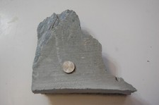 4.1 pnd marbled for sale  Sahuarita