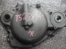 Suzuki ts250 ts250x gebraucht kaufen  Wernberg-Köblitz