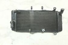 Radiador 13 Suzuki GW 250 GW250 Inazuma comprar usado  Enviando para Brazil