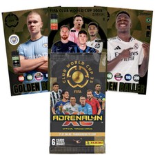 Panini fifa club usato  Spedire a Italy