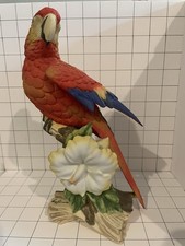 Scarlet macaw ebb for sale  Magnolia