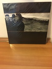 The joshua tree usato  Catania