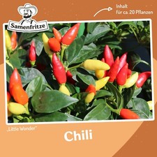 Little wonder chili gebraucht kaufen  Sinsheim