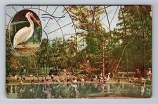 Cartão postal vintage parque zoológico gaiola voadora interior Nova York NY comprar usado  Enviando para Brazil
