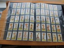 reproduction cigarette cards for sale reproduction cigarette cards for sale MELTON MOWBRAY