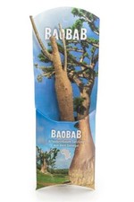 Baobab setzling monate gebraucht kaufen  Straubing
