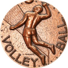 8687 médaille volley d'occasion  Lille-
