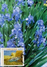 Maximaphilie carte maximum d'occasion  Toulon-