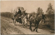 Primi 900 immagine usato Primi 900 immagine usato  Voltido