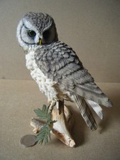 Country artists hawk for sale  POOLE