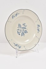 Villeroy boch teller gebraucht kaufen  Leonberg