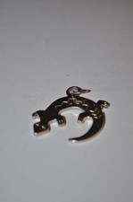 Anhänger metall salamander gebraucht kaufen  Pfaffenhofen