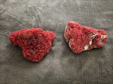 Pezzi corallo rosso usato  Roma