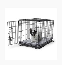 Pets home single for sale  ASHBOURNE