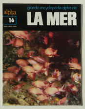 Paper no. the d'occasion  Expédié en Belgium