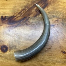 Polished cow horn for sale  Schoolcraft