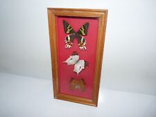 Ancien cadre papillon d'occasion  Freyming-Merlebach