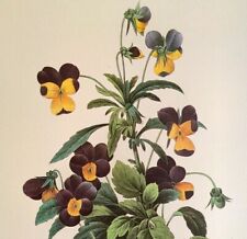 art flowers for sale art flowers for sale Sahuarita