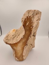 Fossilized wood unique d'occasion  Expédié en Belgium