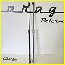 Molle gas pistoncini usato  Palermo