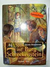 Spuk burg schreckenstein gebraucht kaufen  Hagen