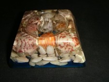 Old unique shell for sale  Dyer
