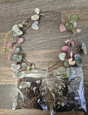 String hearts variegated for sale  LONDON
