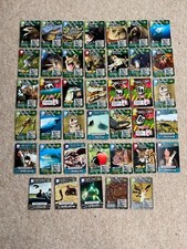 Deadly wild trading for sale  WORTHING