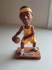 Lebron james cleveland for sale  Akron