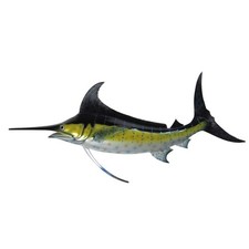 Lifelike wall mount for sale  Brentwood