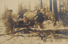 1910s cabinet photo for sale  Columbiana
