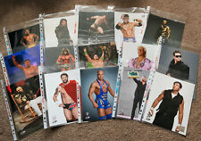 Wwe photofile promo for sale  UK