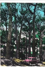 Fregene pineta 1967 usato  Roma