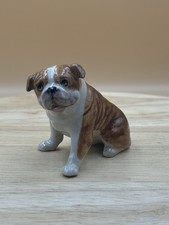 British english bulldog for sale  ELY