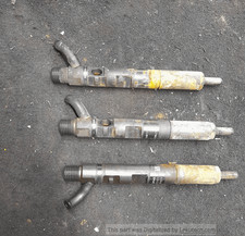 166001137r iniettore diesel usato  Italia