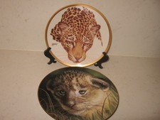 Wild cat plates for sale  WELLINGBOROUGH