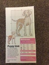 Mini weimaraner puppy for sale  BIRMINGHAM