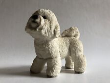 Leonardo collection bichon for sale  UK