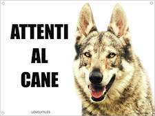 Lupo cecoslovacco attenti usato  Roma