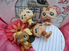 Petshop asbro lot d'occasion  Léognan